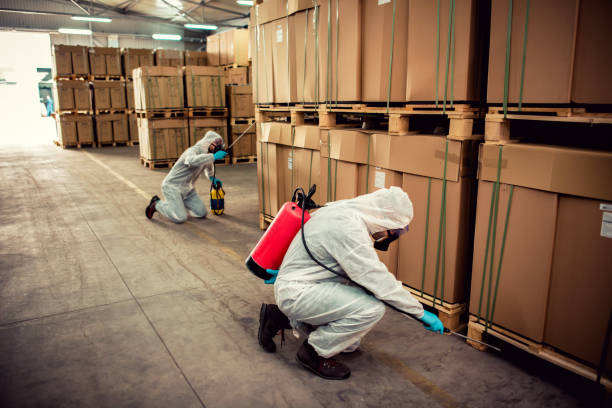 Reliable Ammon, ID Pest Control Solutions
