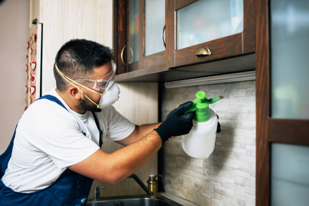 Flea Control Services in Ammon, ID
